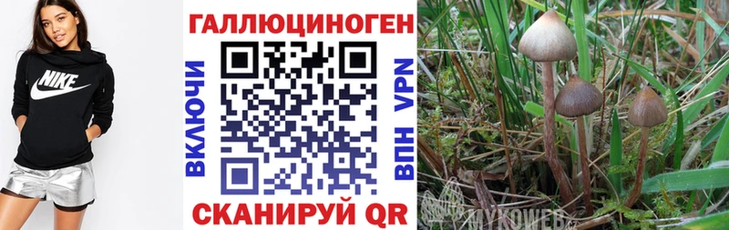 Псилоцибиновые грибы MAGIC MUSHROOMS  Ялта 